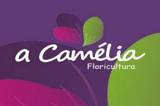 Floricultura a Camelia logo