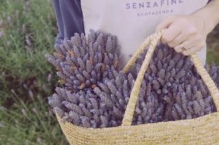 Senzafine Ecofazenda