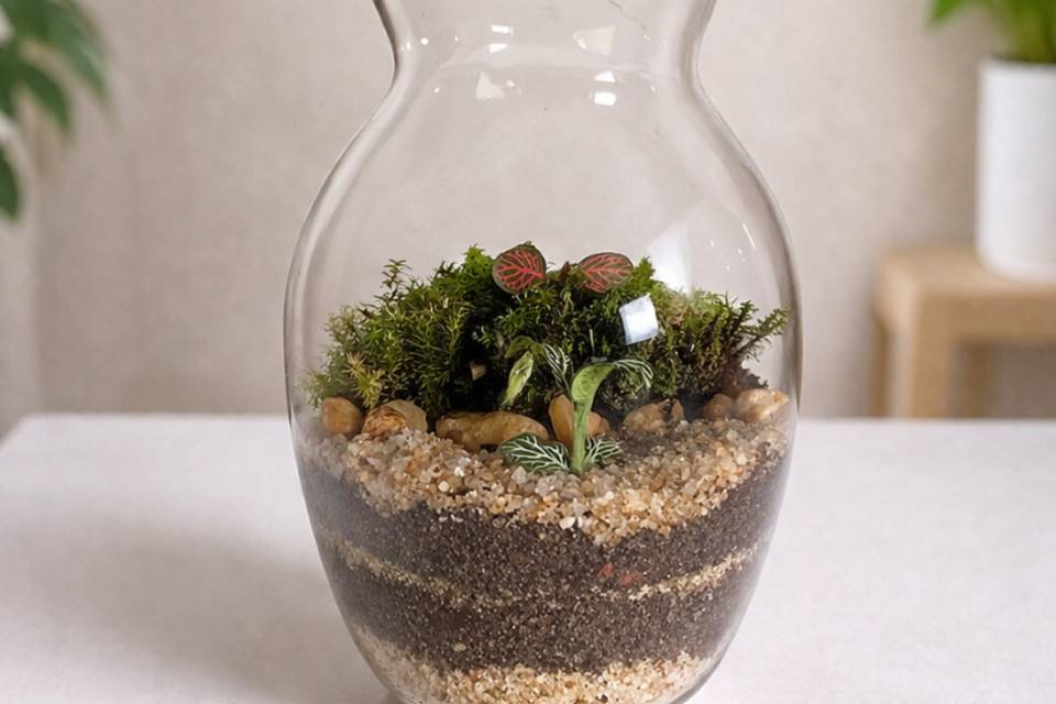 Terrários