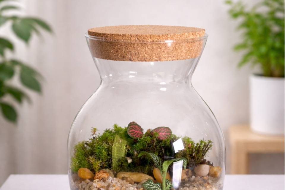 Terrários