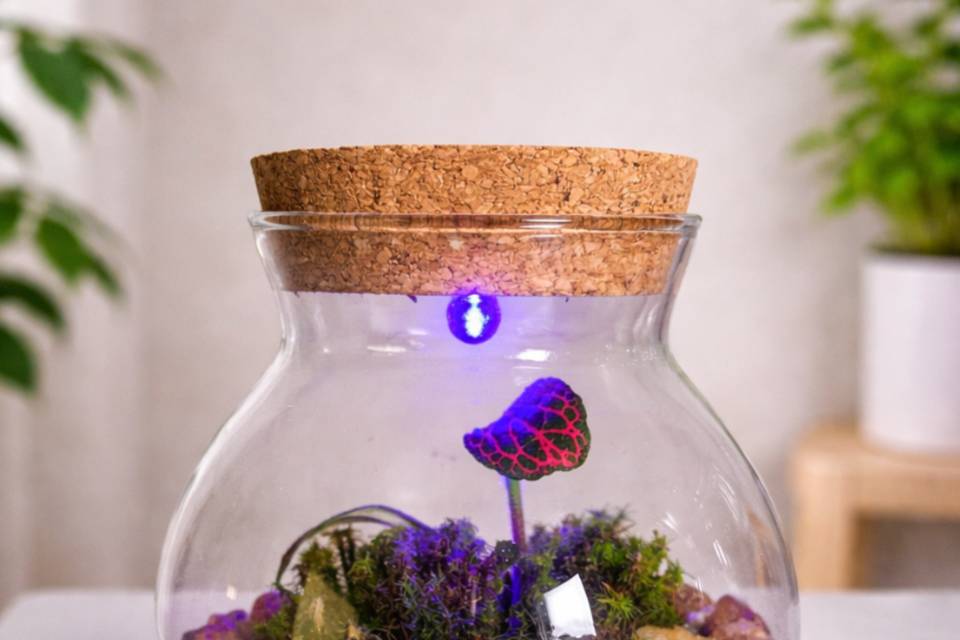 Terrários