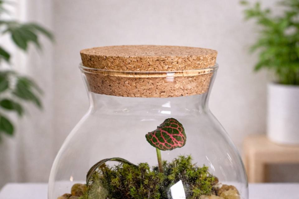 Terrários