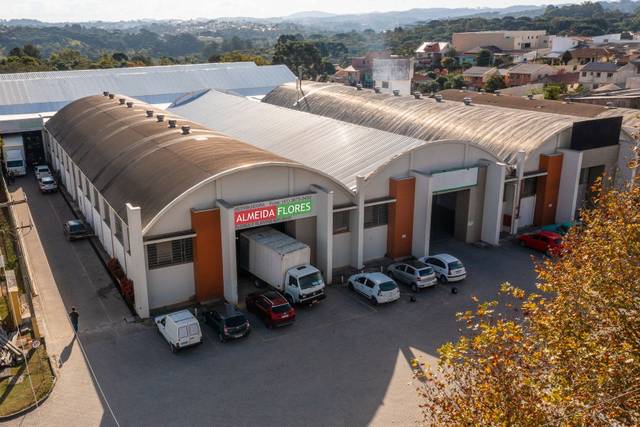15 anos no mercado de flores