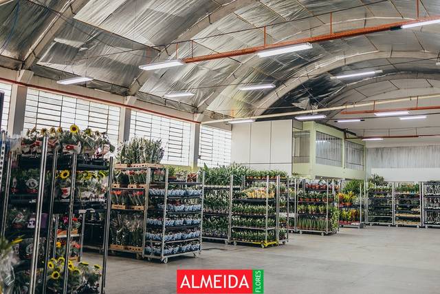 Produtos a pronta entrega
