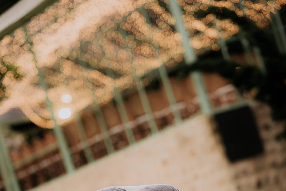 JOÃO OLIVEIRA FOTOGRAFIA