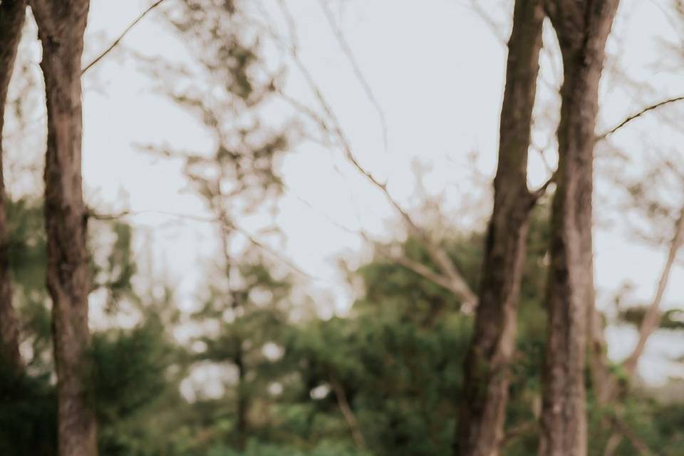 JOÃO OLIVEIRA FOTOGRAFIA