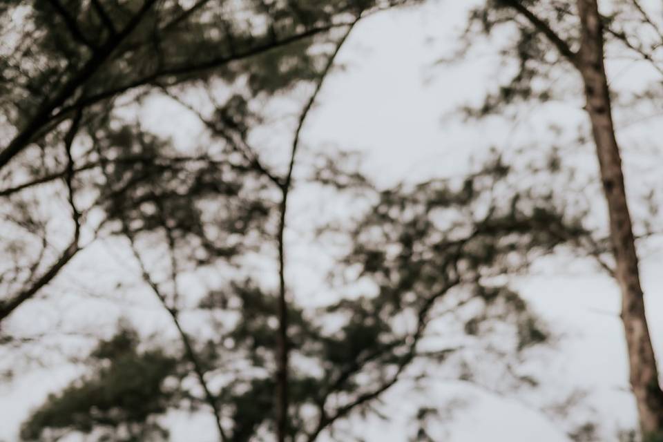 JOÃO OLIVEIRA FOTOGRAFIA