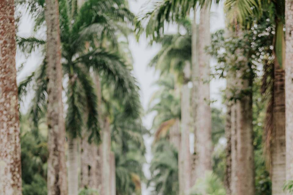 JOÃO OLIVEIRA FOTOGRAFIA