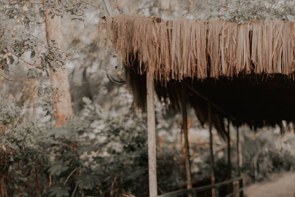 João Oliveira Fotografia