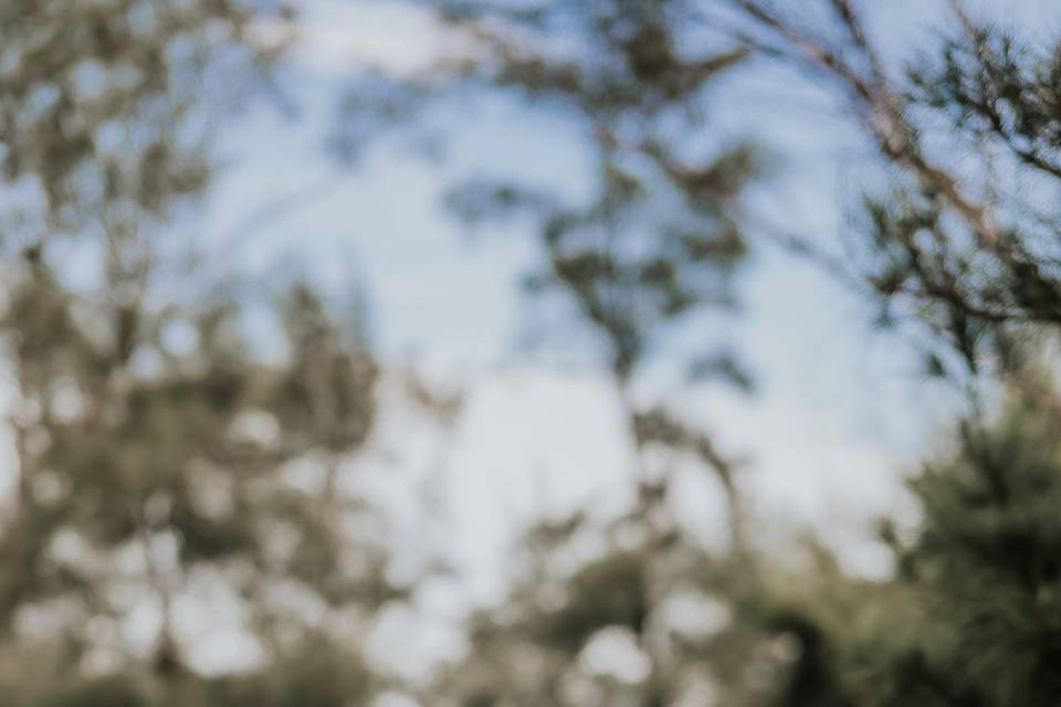 JOÃO OLIVEIRA FOTOGRAFIA