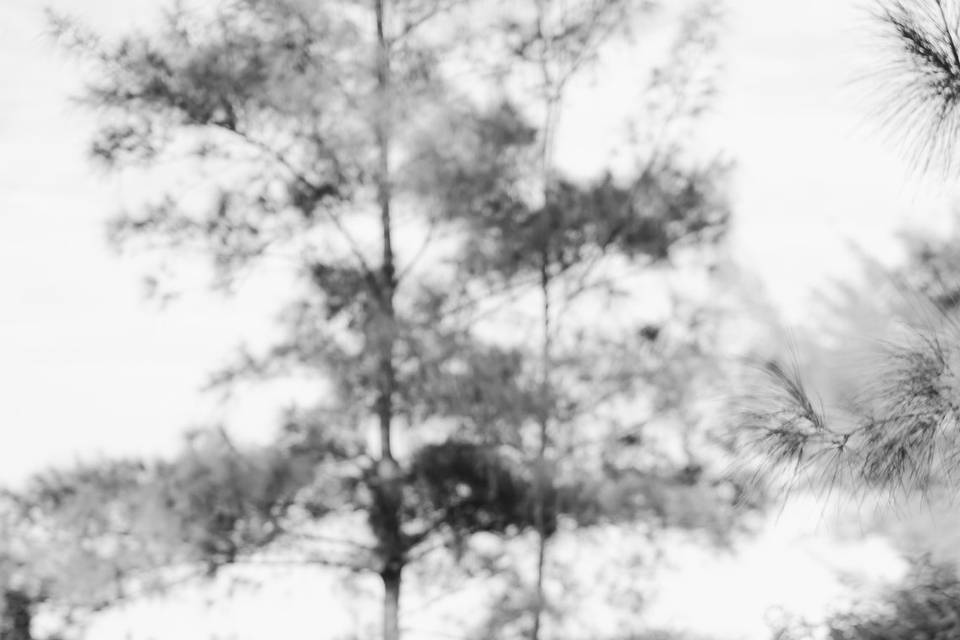 JOÃO OLIVEIRA FOTOGRAFIA