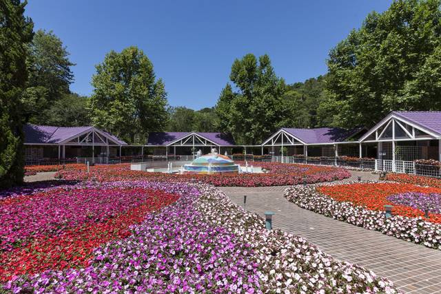 Unique Garden Hotel