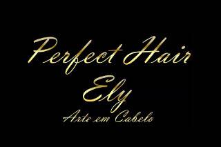 Perfect hair logo