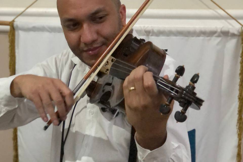 Violino