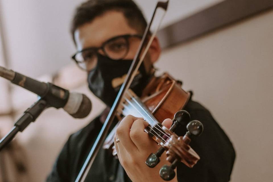 Violinista