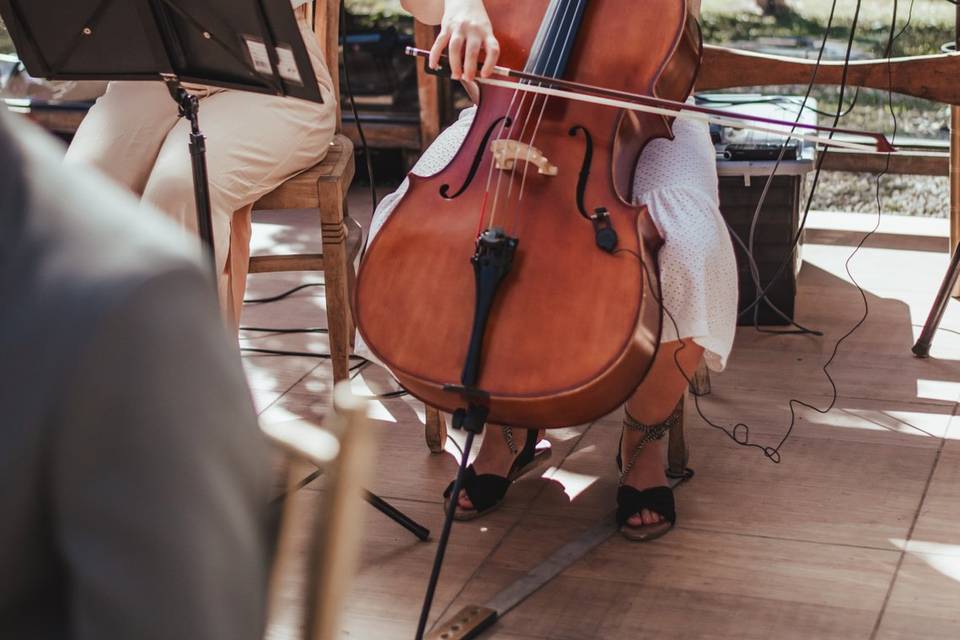 Cello