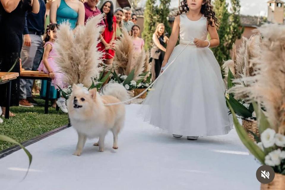 Casamento