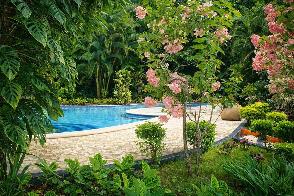 Jardim e Piscina
