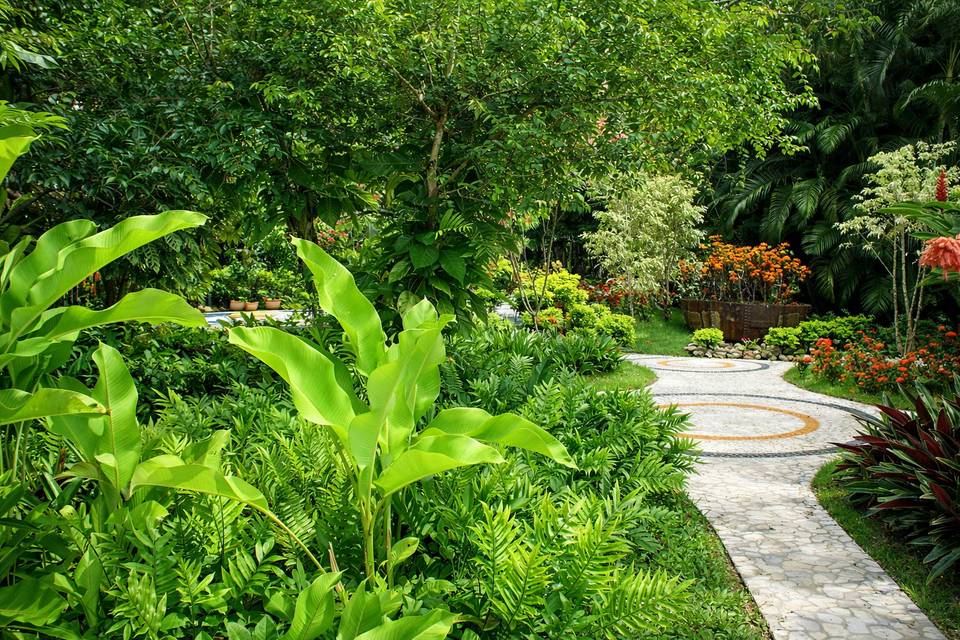 Jardim