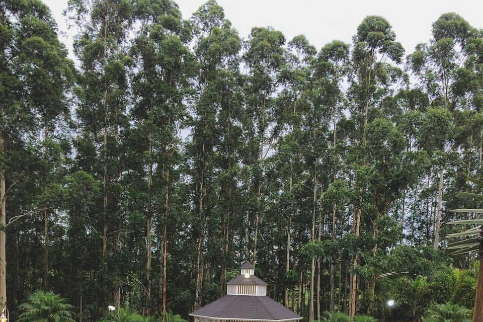 Hoje tem casamento!