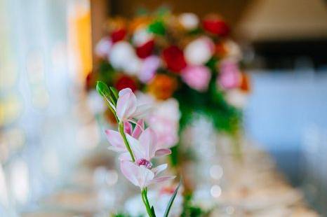 Flores Simplisim - Casamento
