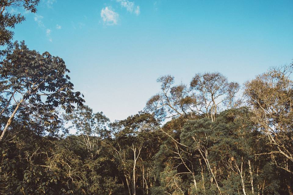 Beyond Fotografia