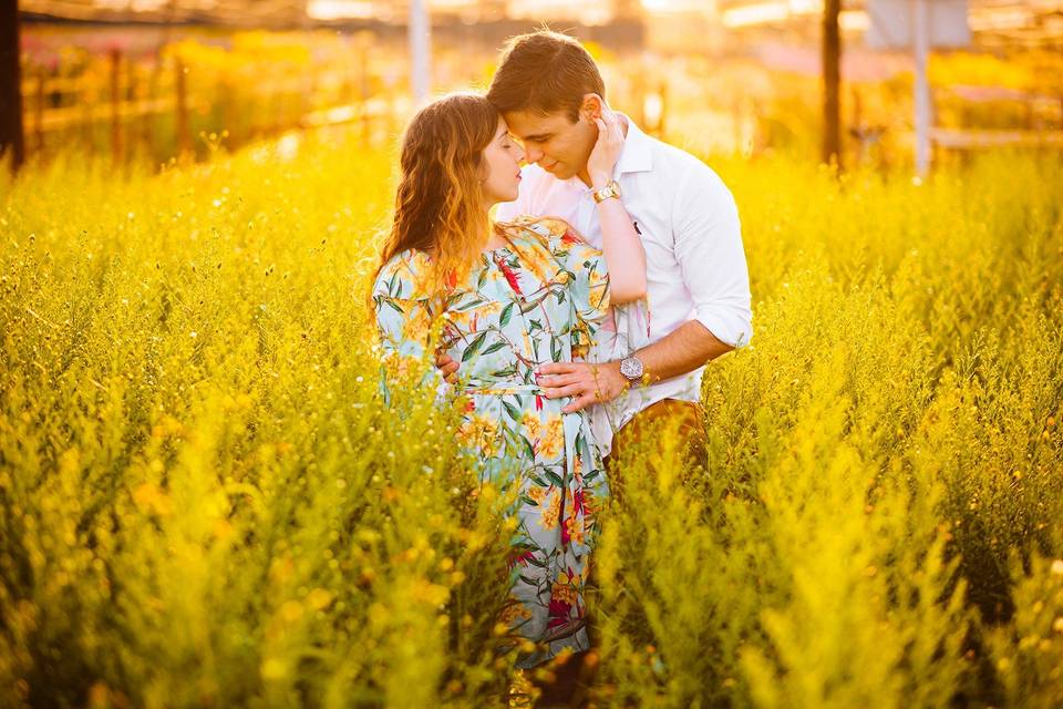 Fotografia de Casamento