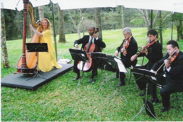 Quarteto de cordas e harpa
