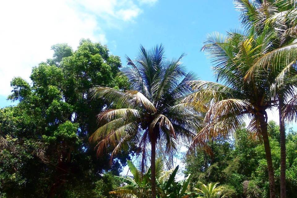 Sítio paraíso