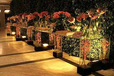 Buffet França