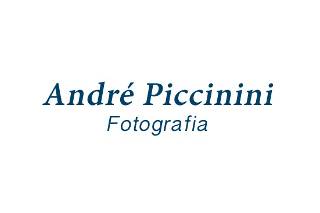 Andre piccinini logo