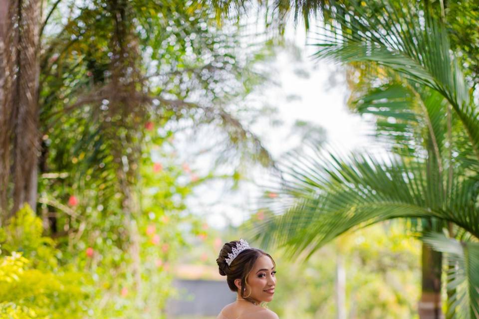 Jardim