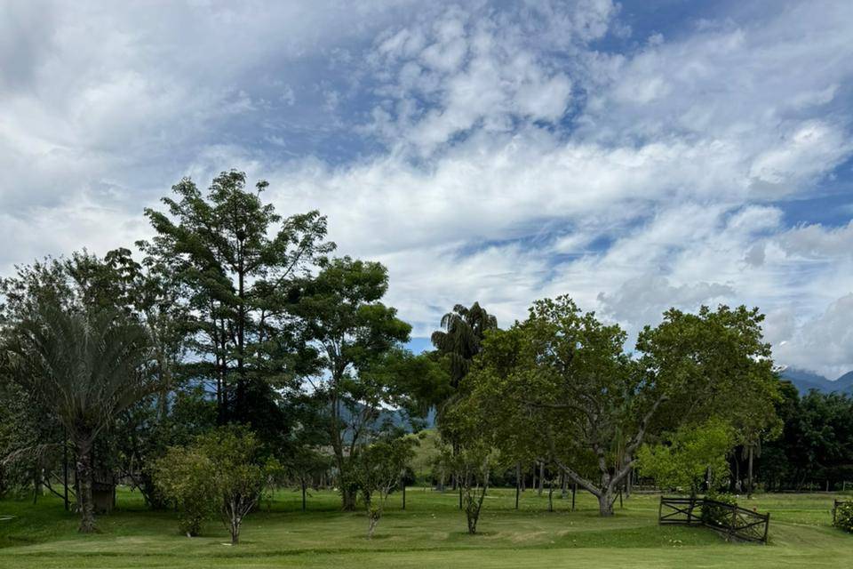 Lareira