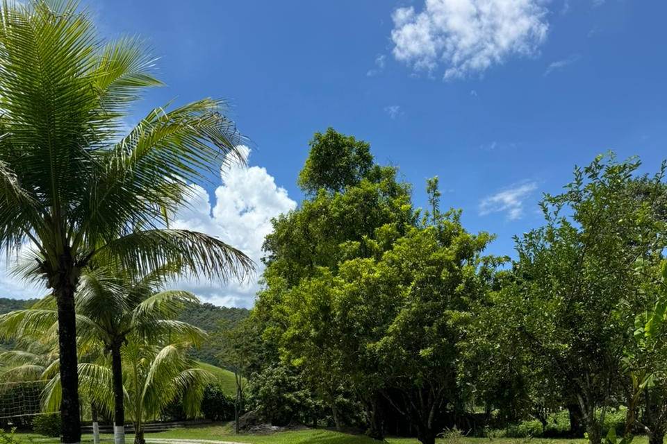 Entrada