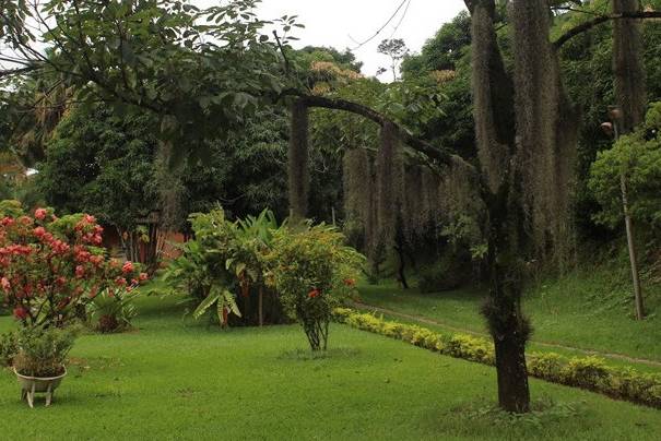 Natureza