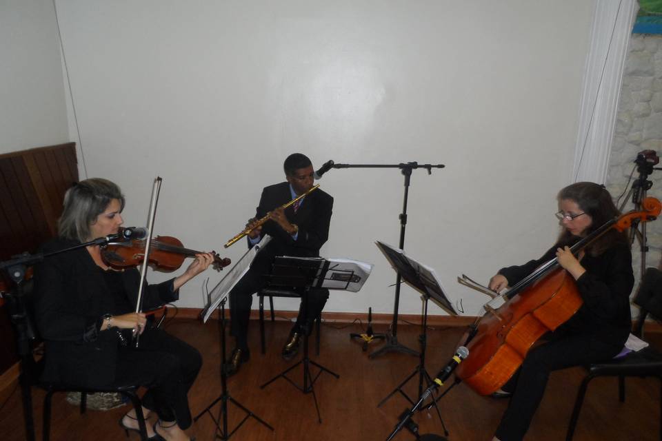 Trio: violino, flauta e cello