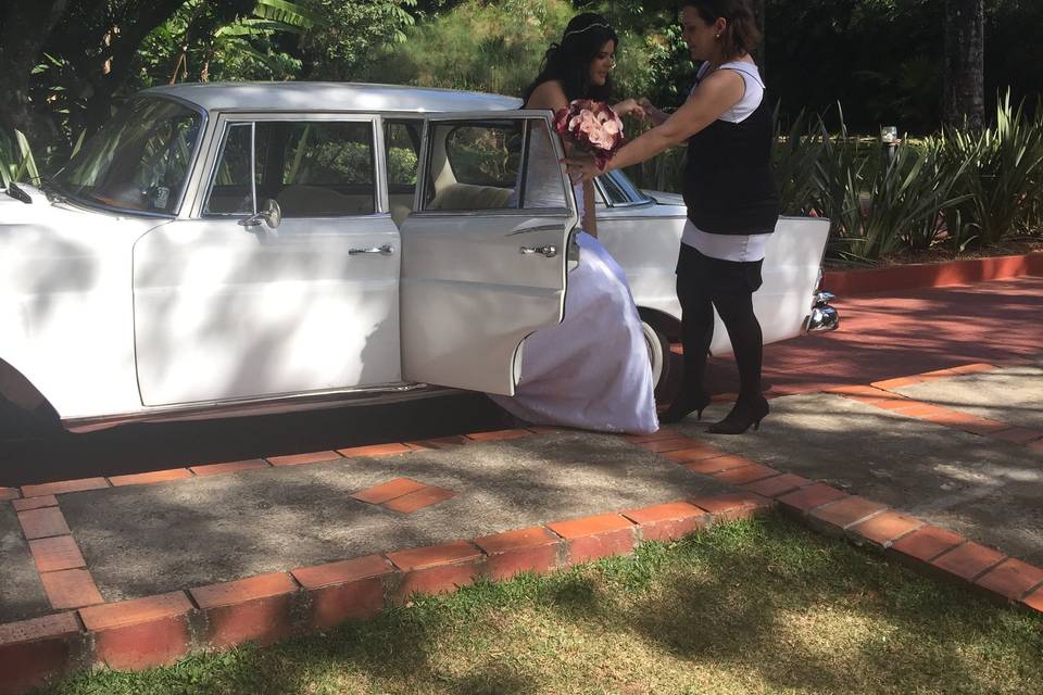 Gaia Eventos