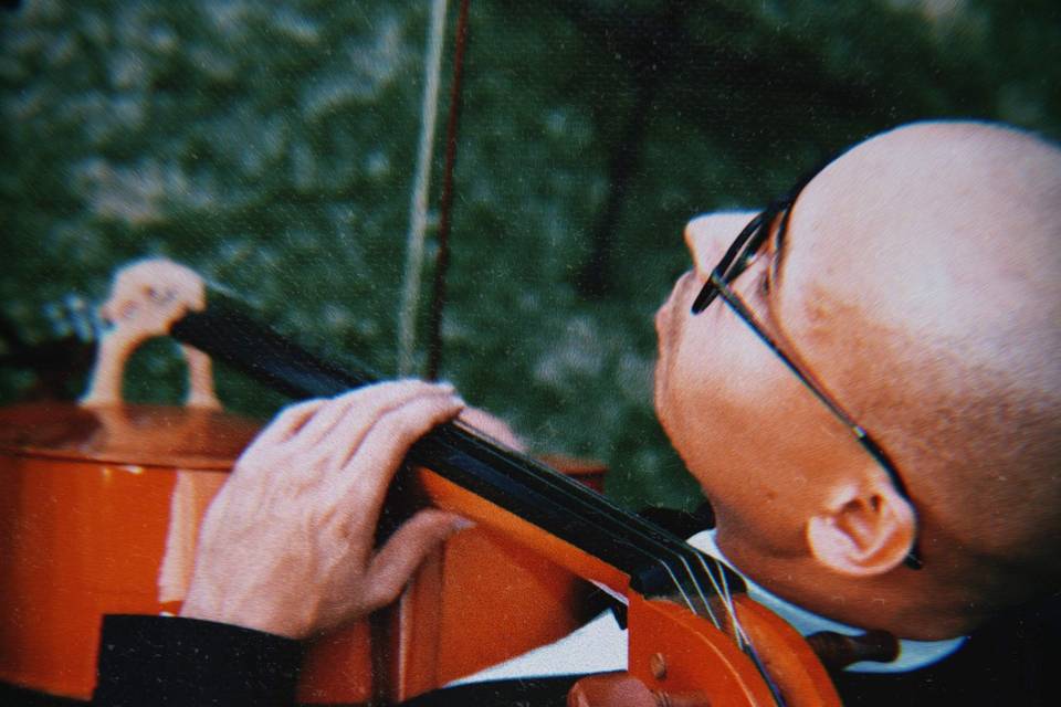 Violoncelo
