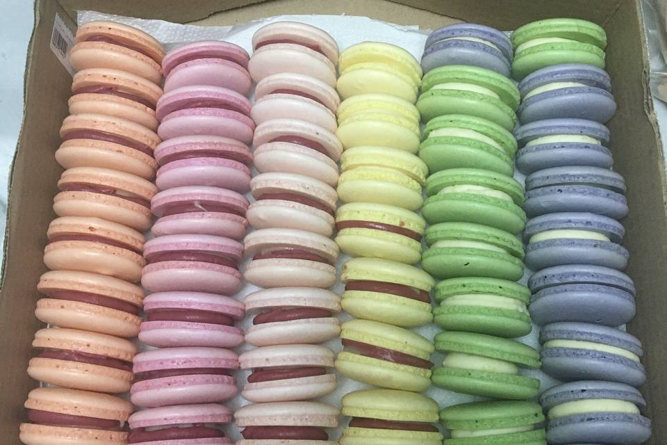 Macarons candy collor