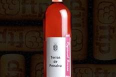 Terras de Penalva Regional Beiras Rosé 2006