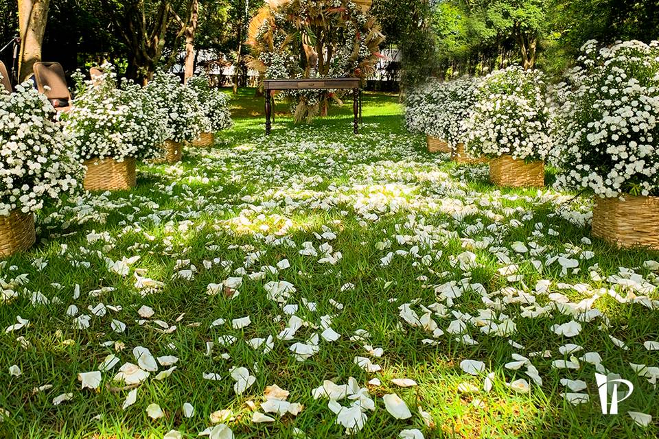 Cerimonia no bosque