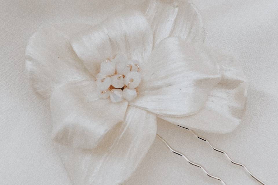 Flor do campo