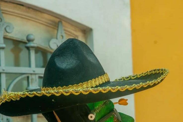 BLOCO DA FANFARRA FUNKSTEIN