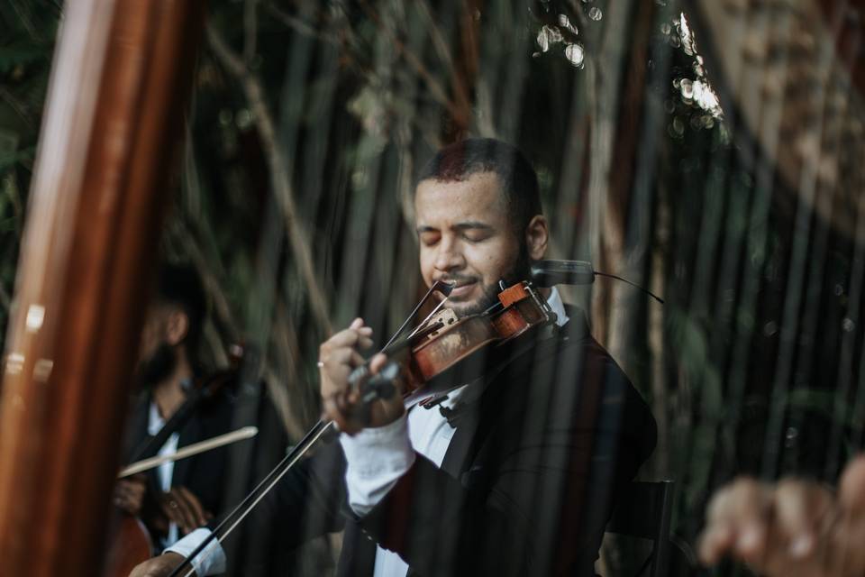 Violinista