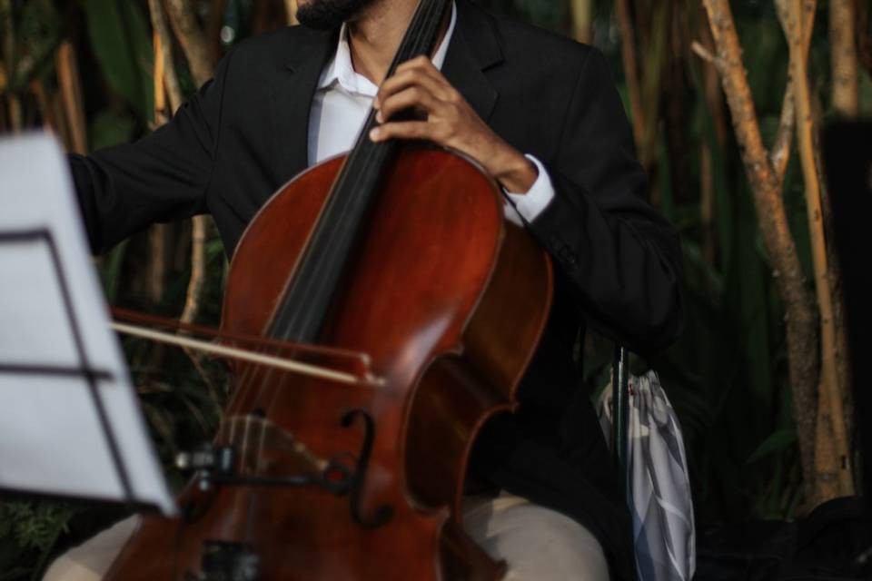 Violoncenistas