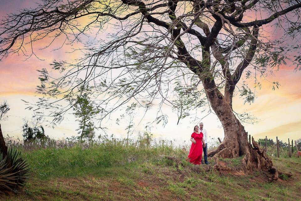 Pré wedding- Fazenda Ipanema-S