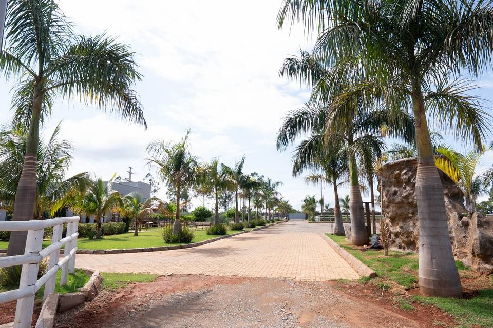 House Eventos
