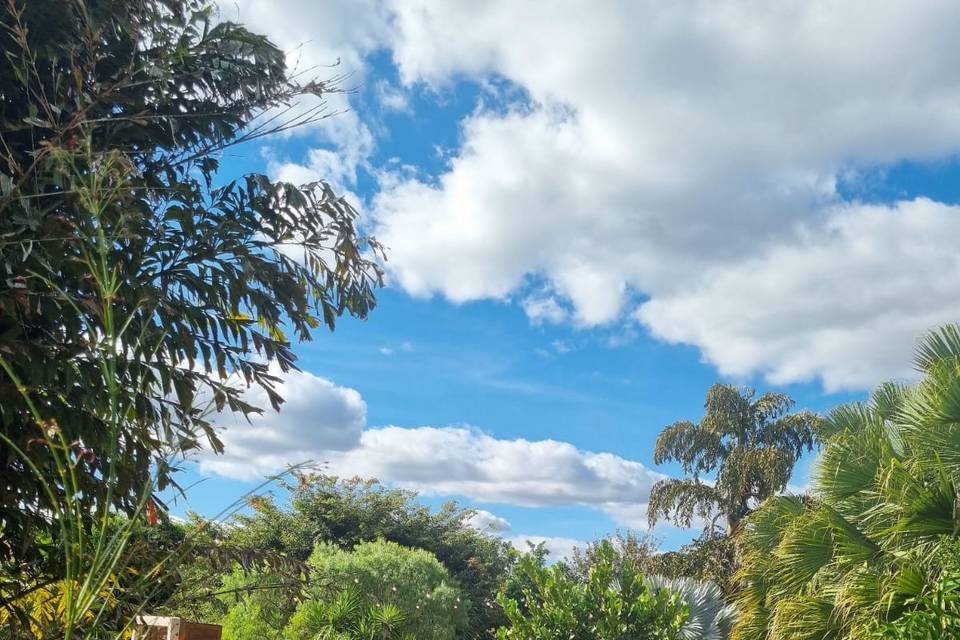 Rancho Solar