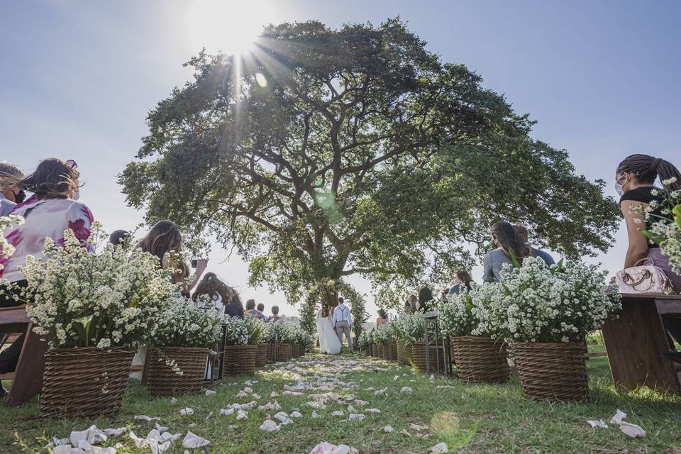 Fazenda Casa Branca