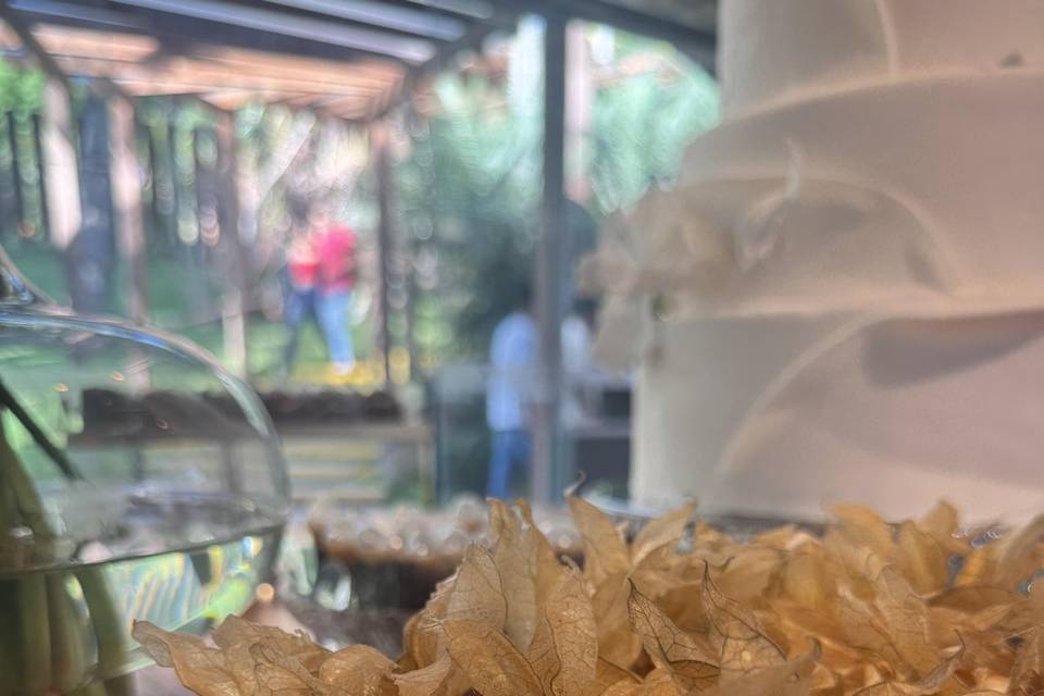 Copinhos de physalis